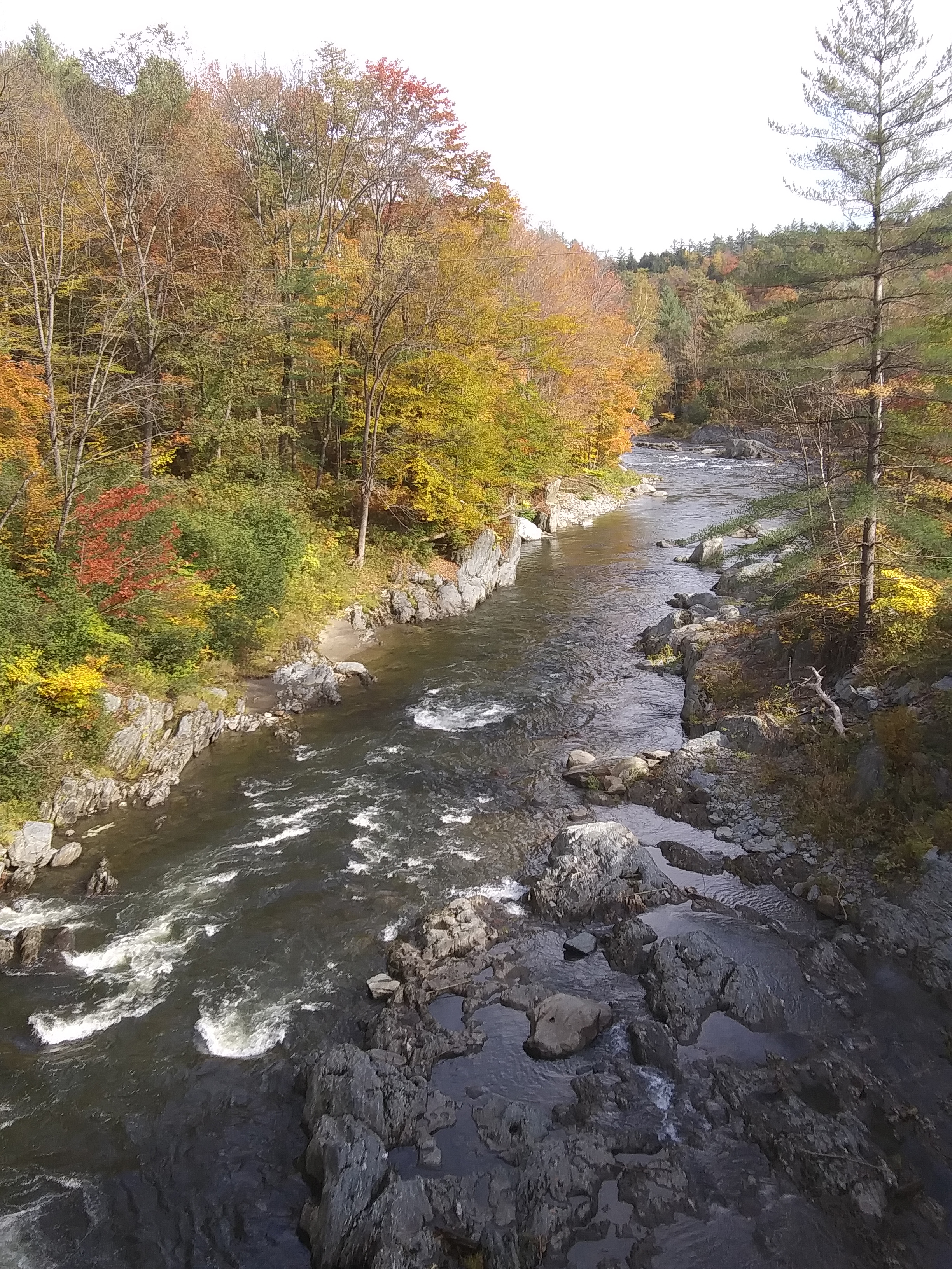 Reader submitted foliage photo of the Mad River in Moretown from Sharon Moulton Parks.